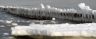 Winterimpression Januar 2011