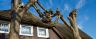 Hausdetail in Zingst